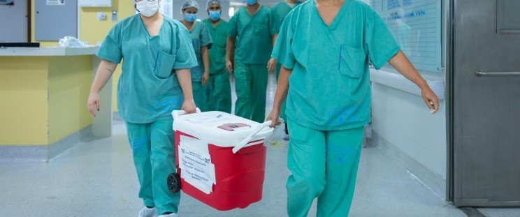 Maranhão realiza primeiro transplante hepático intervivos entre adultos do Nordeste